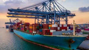 How many types of Sea Freight? 