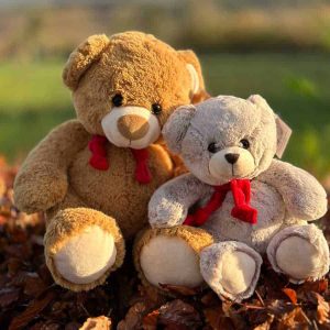 Sending teddy bears on Valentine's Day