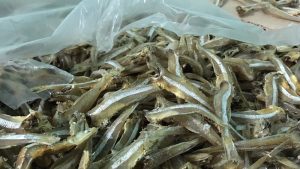 Sending dried fish to the US Quickly - Safely