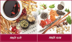 Gửi thuốc bắc thuốc nam đi mỹ