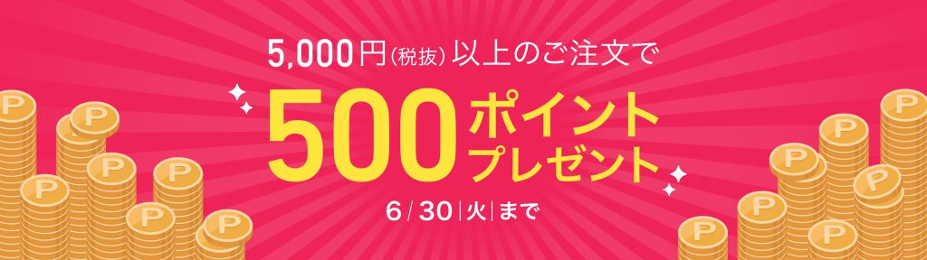 Website mua hàng online Nhật Bản