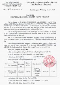 Hướng dẫn xin giấy phép xuất nhập khẩu đơn giản, nhanh chóng