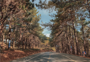 Vận chuyển hàng hóa đi Anh nhanh chóng