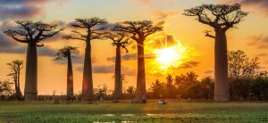 chuyển phát nhanh đi Madagascar thuận tiện nhất