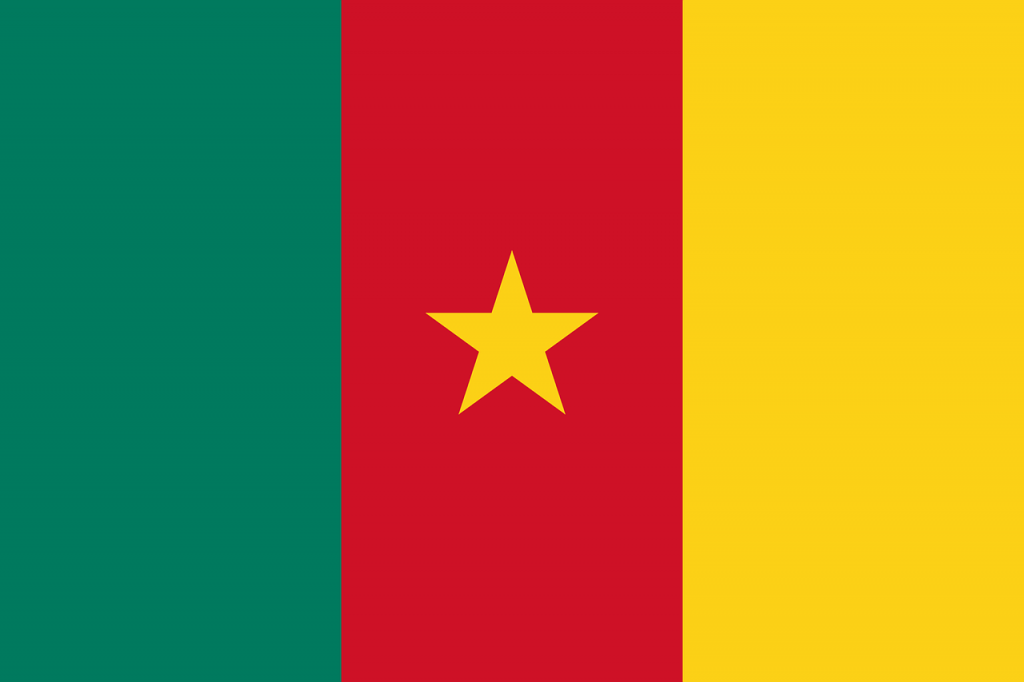 Chuyển phát nhanh đi Cameroon chuyên nghiệp