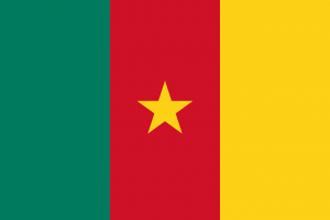 Chuyển phát nhanh đi Cameroon chuyên nghiệp