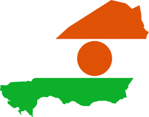 Chuyển phát nhanh đi Niger giá cả hấp dẫn