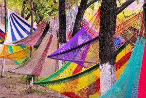 Mua hộ từ guatemala