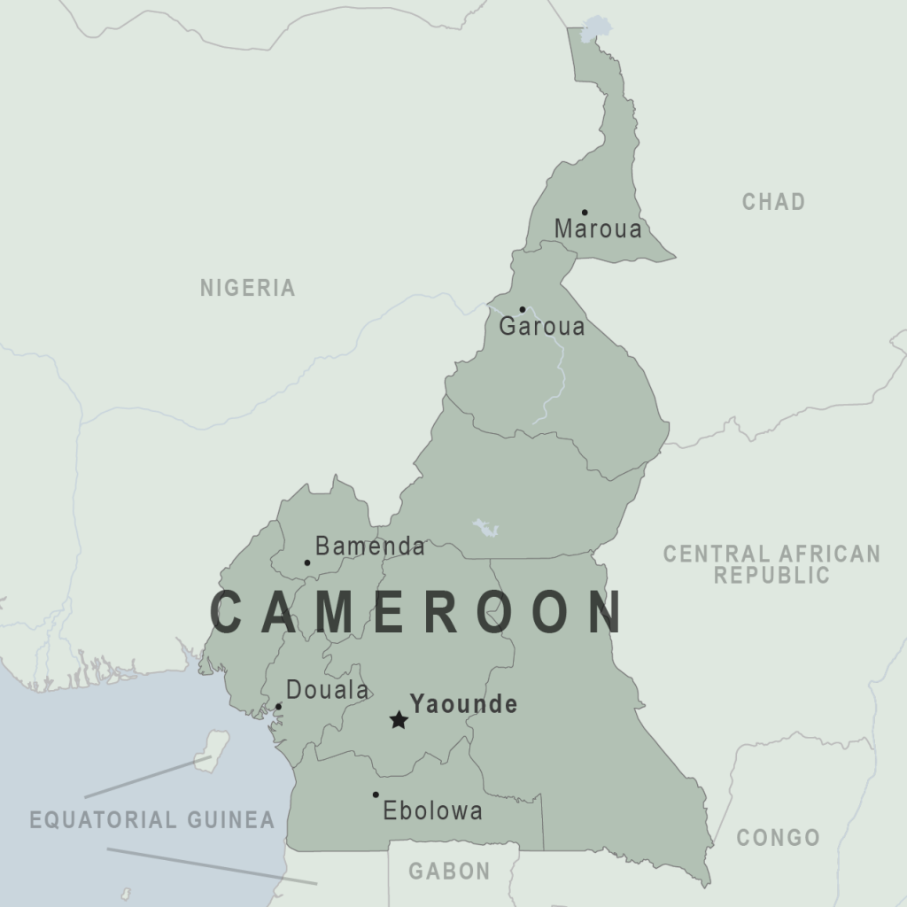 Mua hộ từ Cameroon siêu tiết kiệm
