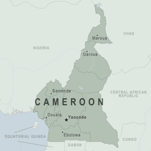 Mua hộ từ Cameroon siêu tiết kiệm