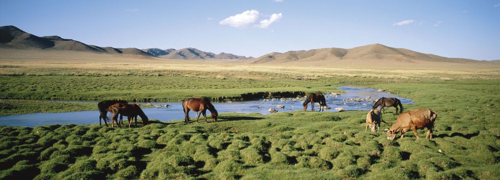 gom hàng hóa đi Mongolia
