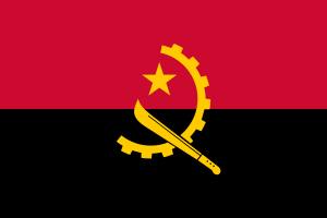 Vận chuyển hàng hóa đi Angola uy tín, an toàn tuyệt đối