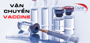 van-chuyen-vaccine