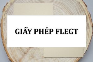 giay-phep-flegt