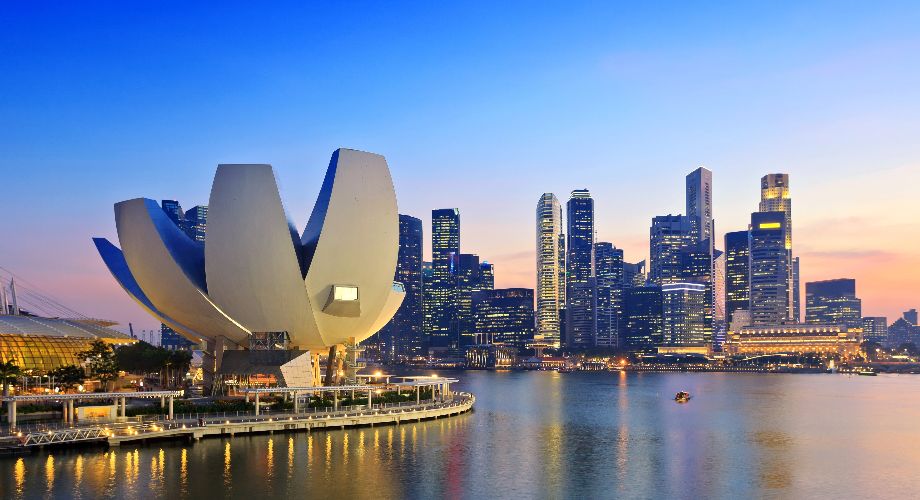Dịch vụ mua hộ hàng hóa từ Singapore về Hà Nội Dịch vụ mua hộ hàng hóa từ Singapore về Hà Nội