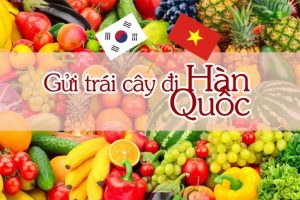 van-chuyen-trai-cay-sang-han-Quoc