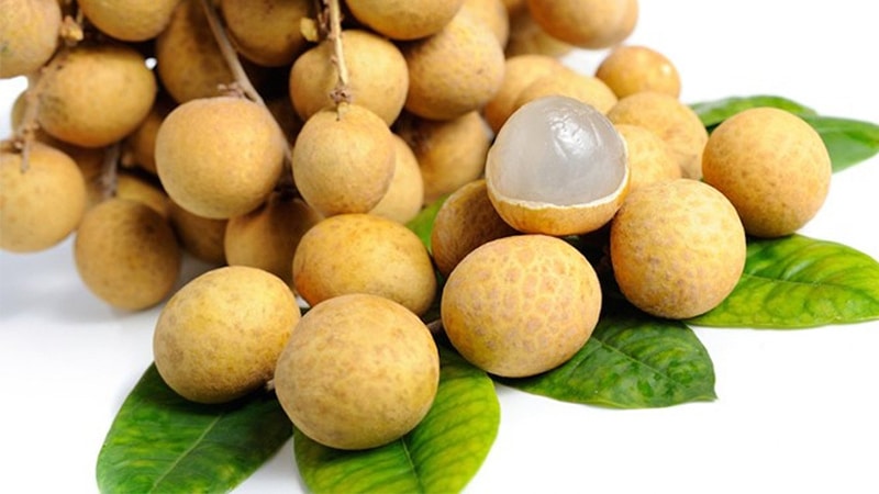 Vận chuyển Nhãn