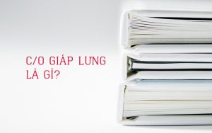 c-o-giap-lung