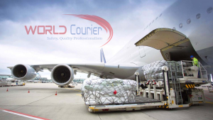 Gửi hàng đi Ấn Độ nhanh rẻ nhất hiện nay tại Best Logistics