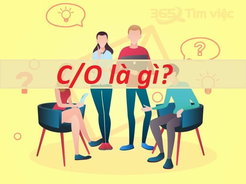 Hướng dẫn kê khai chi tiết CO form T năm 2022