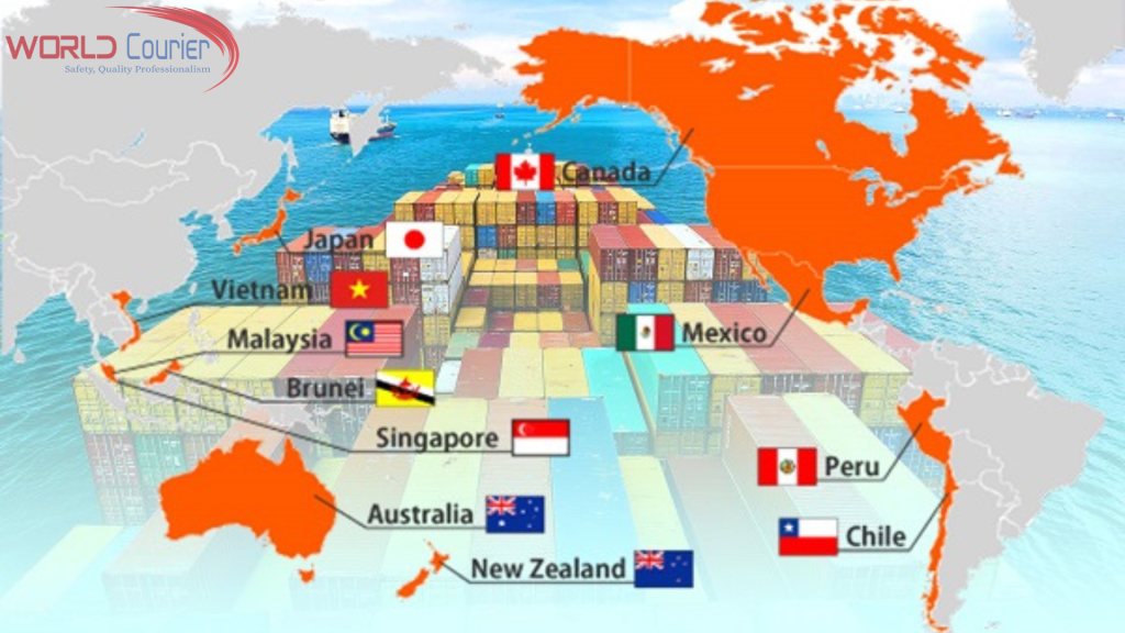 CO form CPTPP được cấp như nào và những lưu ý khi sử dụng