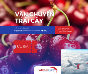 Gửi trái cây từ Việt Nam đi Mỹ giá ưu đãi nhất