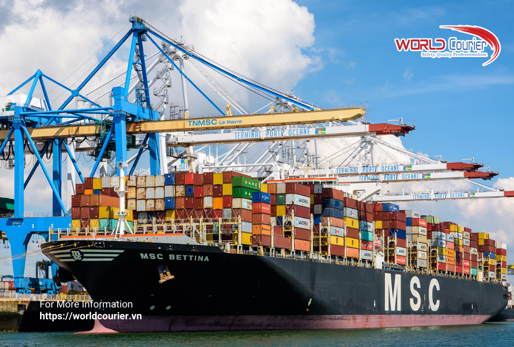 MSC – Hãng tàu container lớn nhất thế giới