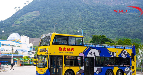 Di Chuyển Ở Hồng Kông Bằng MTR, Bus Và Ferry Như Thế Nào?