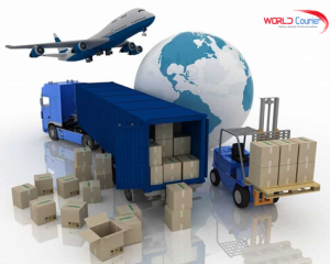 Air Cargo Hay Chuyển Phát Nhanh: Nên Chọn Hình Thức Nào?