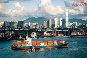 Cơ Hội Xuất Khẩu Đặc Sản Việt Nam Sang Hồng Kông