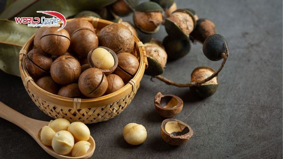 Gửi hạt mắc ca đi Hồng Kông cần chuẩn bị gì? Gửi hạt mắc ca đi Hồng Kông cần chuẩn bị gì?